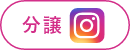 分譲Instagram